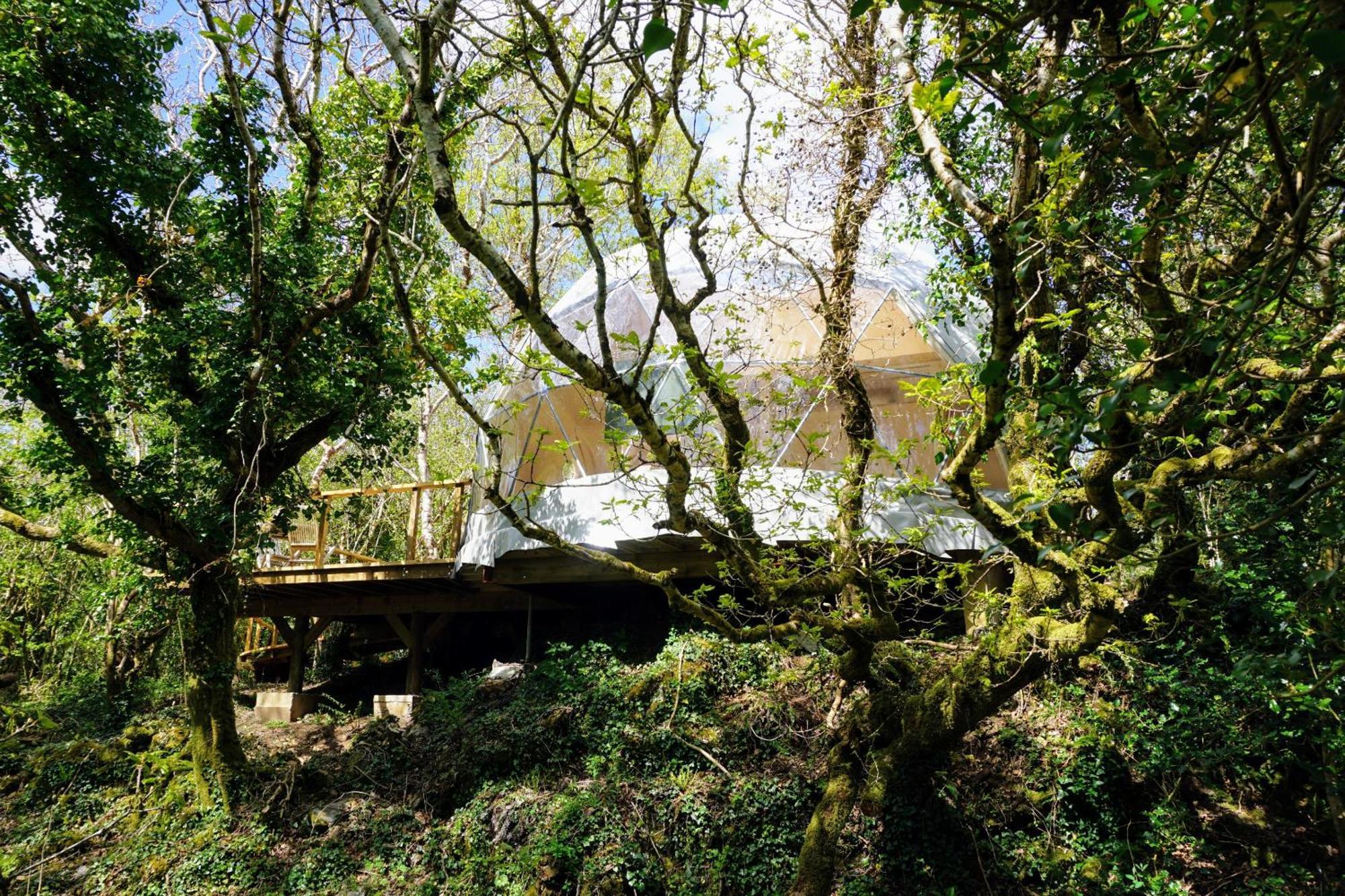 Villa Fernwood Clifden Zimmer foto